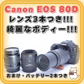 Canon EOS 80D トリプルレンズセット 単焦点 標準 超望遠レンズ