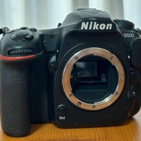 【点検済み】Nikon D500 ボディ