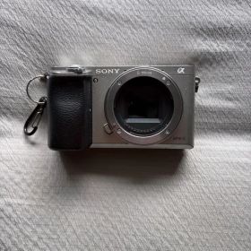 sony α6000
