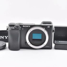 Sony ソニー アルファ α6000 ミラーレス一眼レフカメラ ブラック ボディ