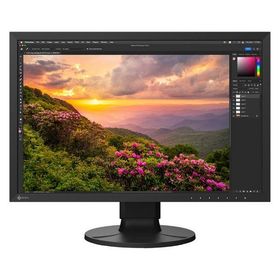 EIZO 液晶ディスプレイ (24.1型/1920×1200) CS2400S-BK 1台（直送品）
