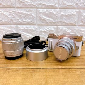 Panasonic ミラーレス一眼カメラ DC-GF10W ダブルレンズキット