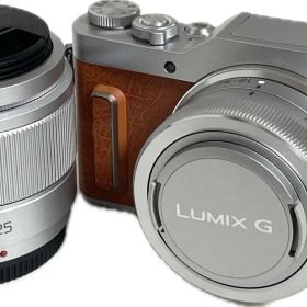 【展示品】パナソニック Panasonic デジタルカメラ ミラーレスデジタル一眼カメラ LUMIX DC-GF10 DC-GF10W-D 送料無料