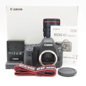 ショット数18,830！■ほぼ新品■CANON EOS 6D Mark II