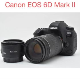 一眼レフカメラ Canon EOS 6D Mark II /ダブルレンズセット