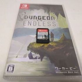 ニンテンドースイッチ ソフト ダンジョン オブ ジ エンドレス(Dungeon of the ENDLESS) Nintendo Switch