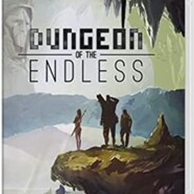 ダンジョン オブ ジ エンドレス(Dungeon of the ENDLESS?) - Switch(中古品)