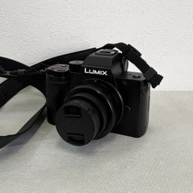 【美品稼動品】Panasonic LUMIX ルミックスDC-G100K