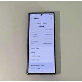 ギャラクシー(Galaxy)のAndroid Galaxy Fold 6｜256gb｜SIMフリー(スマートフォン本体)