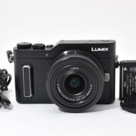 ★ショット数2937回★ ★美品★ パナソニック Panasonic LUMIX DC-GF10 ブラック + G VARIO 12-32mm F3.5-5.6 RYM5337#345