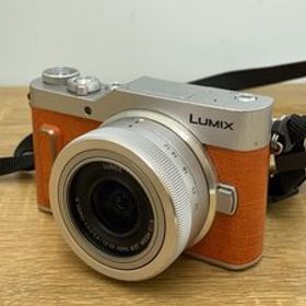 Panasonic◆デジタル一眼カメラ LUMIX DC-GF10W-D/充電機欠品/本体のみ/Wレンズ無し//