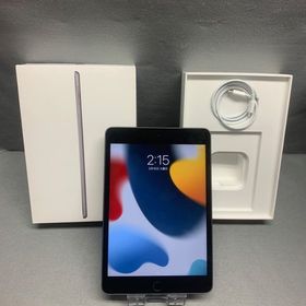 美品 国内版 Wi-Fi版 iPad mini 第5世代 64GB スペースグレイ色