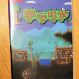 [匿名配送]テラリア switch版