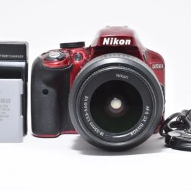 Nikon ニコン D3300 レンズキット レッド デジタル一眼カメラ