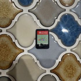 どうぶつの森 Switch ソフト あつ森 どうもり