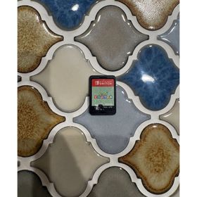 どうぶつの森 Switch ソフト あつ森 どうもり(家庭用ゲームソフト)