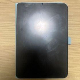 Apple iPad mini 本体 バッテリー94%