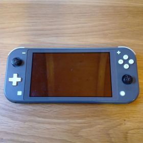 Nintendo Switch Lite グレー 本体
