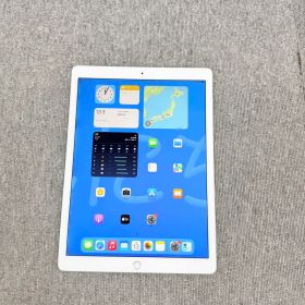iPad Pro 第2世代 12.9インチ Wi-Fi + Cellular
