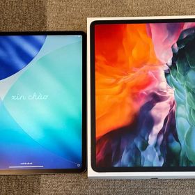 【美品 動作確認済】iPad Pro 12.9インチ (第4世代) 256GB