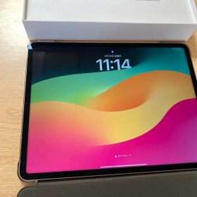 iPad Pro 12.9インチ第6世代256GB
