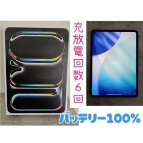 【極美品】iPad Pro 11インチ (M5) 256GB Wi-Fiモデル