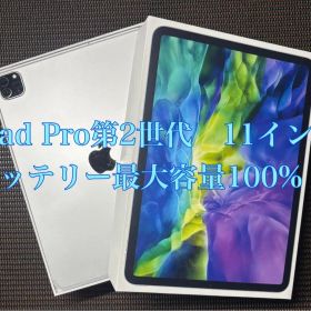 早い者勝ち バッテリー100%Apple iPad Pro 第２世代 256GB