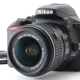✨極美品✨ニコン D5500 レンズキット❤️16,877ショット