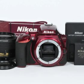 【美品】 ニコン Nikon D5500 レンズキット 《ショット数2283》