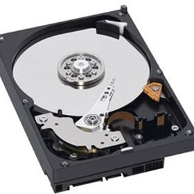 WD5000AAKB (500G U100 7200) バルク