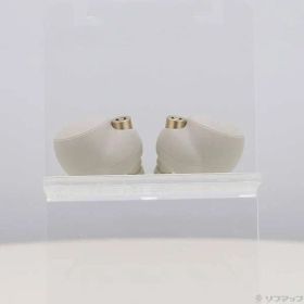 ソフマップ 〔中古品〕 WF-1000XM4 S プラチナシルバー【262】