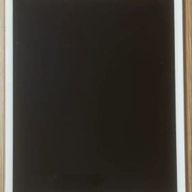 ジャンク iPad mini 4 Wi-Fi 64GB MK9J2J/A