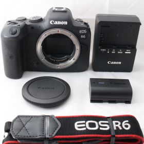 ☆美品☆ Canon ミラーレス一眼カメラ EOS R6 ボディ キヤノン #4780