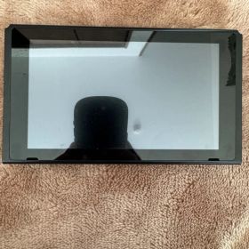Nintendo Switch 本体 初期型 未対策機 ※簡易動作確認済み