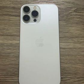 Apple iPhone 13 Pro MAX シルバー 本体 充電ケーブル付き