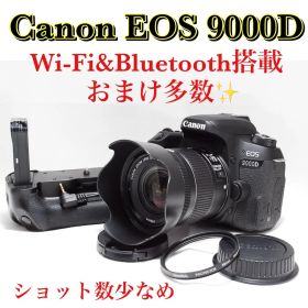 極美品★Canon EOS 9000D★Wi-Fi搭載★ショット数少なめ★おまけ