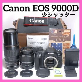 少シャッター数✨Canon EOS 9000D✨ダブルレンズ✨ スポーツ観戦に