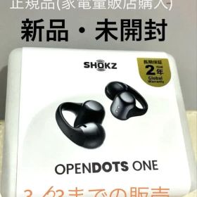 【新品未使用】Shokz OpenDots ONE ブラック