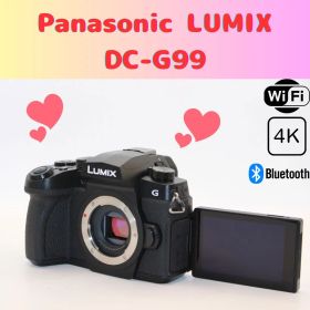 ★ショット数9289回★ LUMIX DC-G99 ボディ ミラーレス