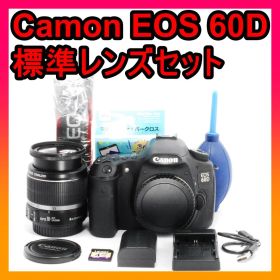初心者向け⭐️Canon EOS 60D 標準レンズセット プロ仕様の撮影
