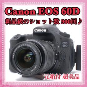 ショット数990回！✨新品級 Canon EOS 60D レンズセット 元箱付