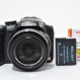 良品 PANASONIC パナソニック LUMIX DMC-FZ200 動作良好