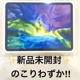 新品未開封 iPad Pro11インチ第2世代 Wi-Fi 128GB シルバー