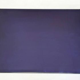 iPad Pro 11インチ 第3世代 128GB SIMフリー M1チップ