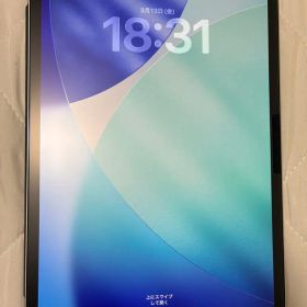 [美品] iPad Pro 11インチ(M4)