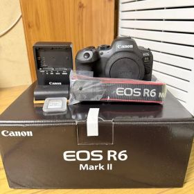 Canon EOS R6 Mark2 ミラーレスカメラ 128Gメモリー付き