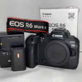 【約1.4万回‼︎】Canon eos R6 mark2 ii ボディ 本体