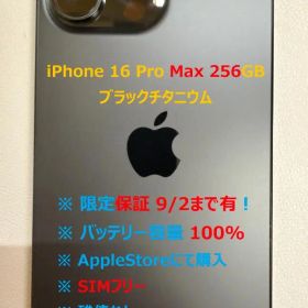 iPhone 16 Pro Max 256GB 容量100% 9月まで保証あり