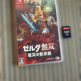 Nintendo Switch ゼルダ無双 厄災の黙示録
