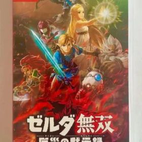 switch ゼルダ無双 厄災の黙示録
